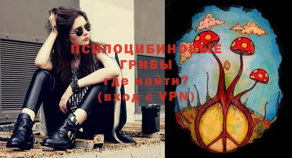 прущие грибы Лиски