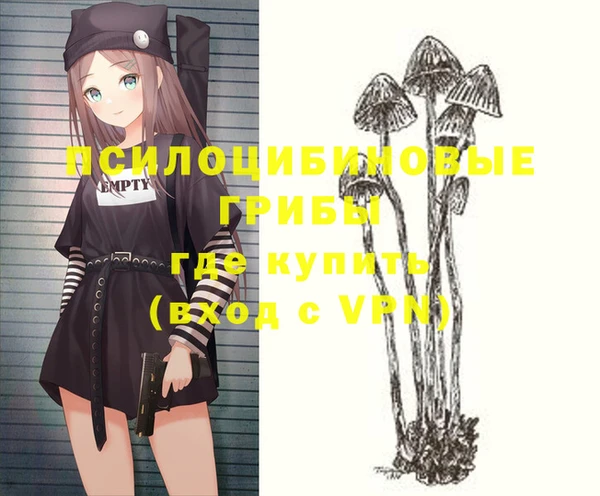 шишки Лихославль