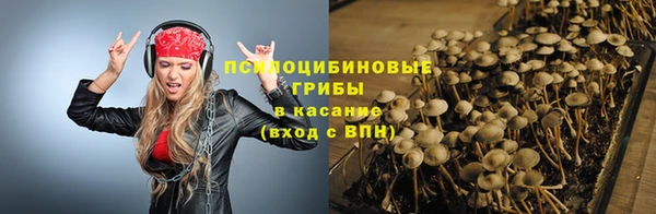 шишки Лихославль