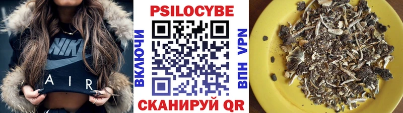 Галлюциногенные грибы Cubensis  Купить закладки  Сухиничи 